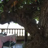 ワイキキ