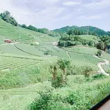 dandancafe