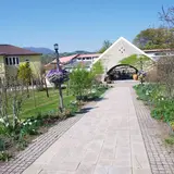 サンクゼールの丘
