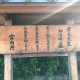 孝元天皇 劔池嶋上陵
