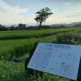 古宮遺跡(伝推古天皇小墾田宮跡)