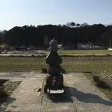 蘇我入鹿首塚