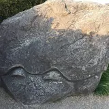 亀石