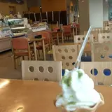 ヴィアッヂオ