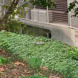 伝・沖田総司終焉の地