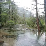 岳沢湿原