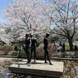 千鳥ヶ淵公園