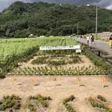 道の駅　原鶴