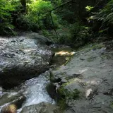 陣ケ下渓谷公園