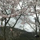 宮リバー度会パーク