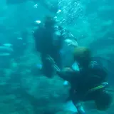 セブンオーシャンズクラブ