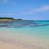 土盛海岸