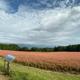 赤そばの里