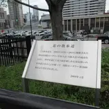 花の散歩道