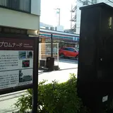 桜のプロムナード