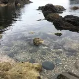 浄土の浜