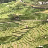 丸山千枚田