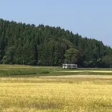 由利高原鉄道