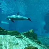 S.E.A. Aquarium