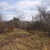 那須平成の森