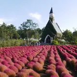 ひるがの高原 牧歌の里