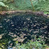 青池