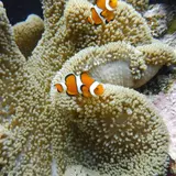 ビッグビーチ石垣島