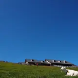 まきば公園