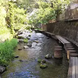 源兵衛川（せせらぎ散歩）