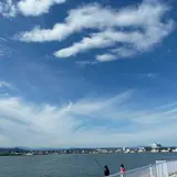 鳥の海