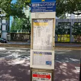 空港リムジンバスのりば