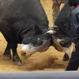 石川多目的ドーム