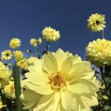 馬見丘陵公園