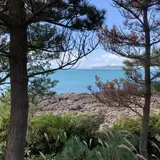 波戸岬キャンプ場