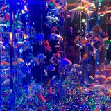【閉業】アートアクアリウム