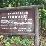 青木ヶ原樹海
