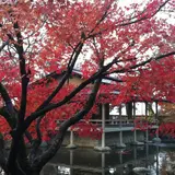 西山公園