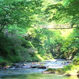 かずら橋