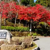 花筐公園