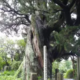 城願寺