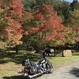 篭坊温泉