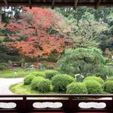 曼殊院門跡