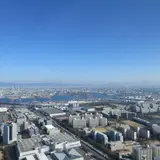 さきしまコスモタワー展望台/大阪府咲洲庁舎展望台