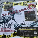 U2 unusual underground