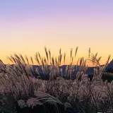曽爾高原