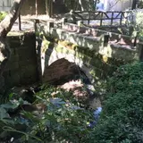 横浜自然観察の森