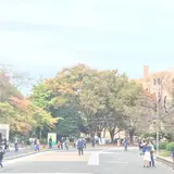 鶴舞公園