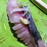 根室花まる JRタワーステラプレイス店