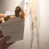 torico -enoshima-