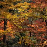 高蔵寺